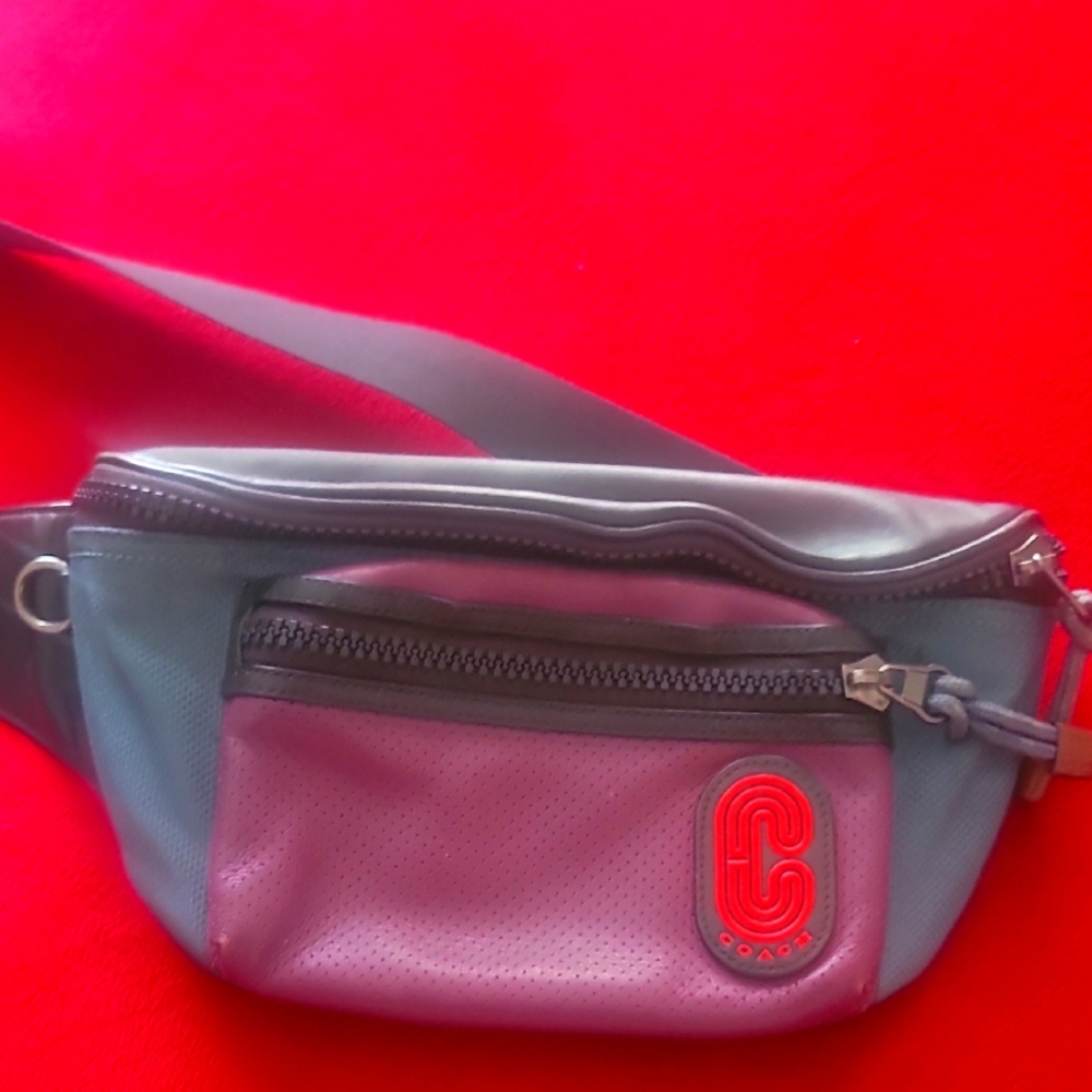 Coach Black and Purple Men's Belt Bag